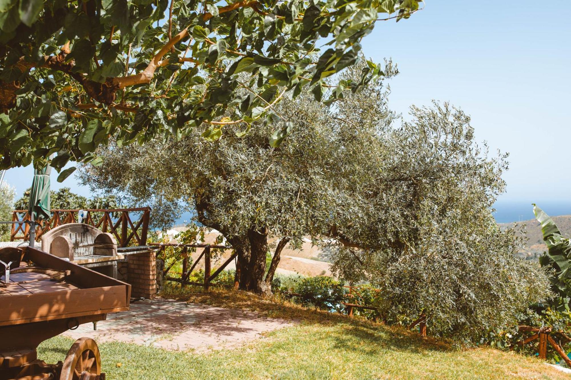 Calami - Villa Romeo - Private Apartments With Pool, Seaview & Olive Grove Santa Caterina Dello Ionio Marina Екстериор снимка