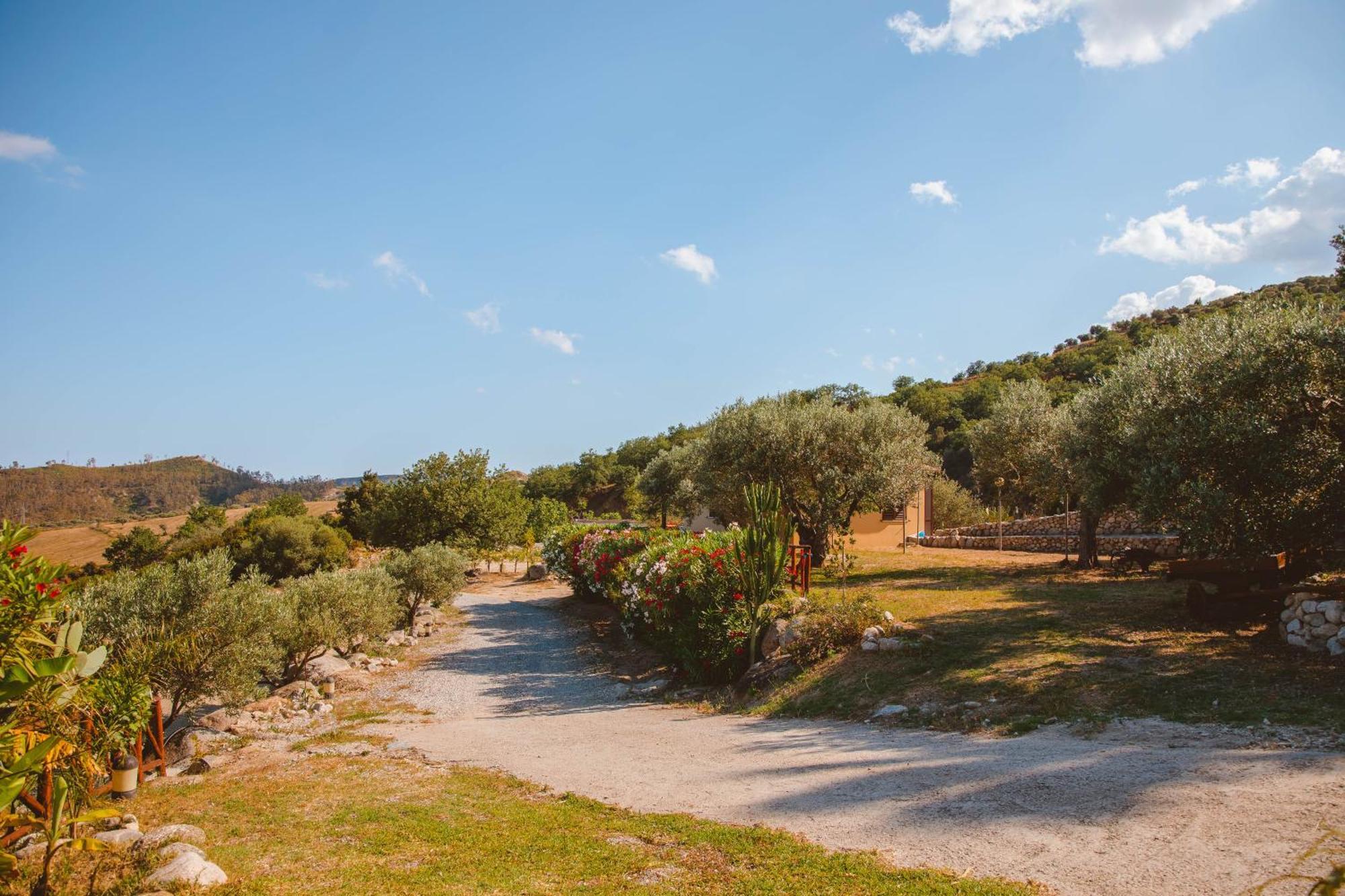 Calami - Villa Romeo - Private Apartments With Pool, Seaview & Olive Grove Santa Caterina Dello Ionio Marina Екстериор снимка